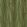 Danube Foliage Wallpaper by MINDTHEGAP Peridot