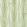 Danube Foliage Wallpaper by MINDTHEGAP Spring