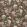 Daydream Wallpaper by Schumacher Chocolate