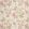 Daydream Wallpaper by Schumacher Pink