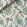 Delfyn Paisley Fabric by Ian Sanderson Mineral