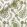 Delfyn Paisley Fabric by Ian Sanderson Parsley