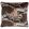 Delilah Velvet Cushion 50 x 50cm by Romo Sienna
