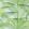 Delray Wallpaper by Thibaut Green and Blue