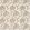 Desert Flower Wallpaper by Thibaut Birch