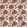Desert Flower Wallpaper by Thibaut Ochre