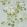 Floreale Wallpaper by Designers Guild Celadon