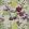Tulipani Wallpaper by Designers Guild Linen