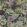 Octavia Wallpaper by Designers Guild Linen