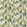 Parrot And Palm Fabric by Designers Guild Azure