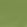 Tiber Fabric by Designers Guild Forest