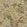 Delft Flower Wallpaper by Designers Guild Gold