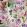 Tulipa Stellata Mural by Designers Guild Fuchsia