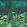 Arjuna Leaf Mural by Designers Guild Viridian