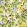 Disco Lemons Wallpaper by Brand McKenzie Cotton