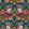 Divine Plumage Wallpaper by Divine Savages Fiesta