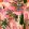 Dolce Vita Fabric by MINDTHEGAP Pink