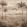 Draa Palms Mural by Coordonne Bone