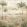 Draa Palms Mural by Coordonne Leaves