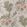 Drexel Hill Wallpaper by Anna French Blush