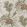 Drexel Hill Wallpaper by Anna French Brown