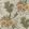 Drexel Hill Wallpaper by Anna French Gold