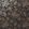 Drunken Monkey Wallpaper by Divine Savages Black Gold
