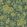 Drunken Monkey Wallpaper by Divine Savages Jungle Green