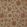 Eden Fabric by Pepe Penalver Orange