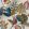 Eglantine Fabric by Ian Sanderson Indian Summer