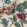 Eglantine Fabric by Ian Sanderson Tempest