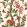 Eldon Wallpaper by GP & J Baker Red/Green