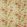 Elouise Fabric by Sanderson Willow/Pink