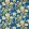 Emperor Peony Fabric by Sanderson Herbal Blue / Amber