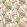 Emperor Peony Fabric by Sanderson Lotus Pink