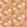 Emy Wallpaper by Caselio Orange Rose