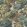 Ennerdale Wallpaper by Woodchip & Magnolia Forest Green