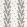 Ensbury Fern Wallpaper by Anna French Black