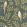 Equateur Wallpaper by Caselio Vert Sapin