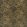 Equidae Fabric by Harlequin Black Earth / Brass