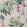 Essence Wallpaper by 1838 Wallcoverings Orchid