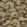 Ete Wallpaper by Caselio Bordeaux