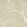 Eternal Oak Wallpaper by Harlequin Incense / Pearl