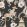 Euphoria Wallpaper by Romo Secret Garden