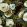Fabiola Bloom Fabric by Arley House Antique