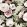 Fabiola Bloom Fabric by Arley House Dusky Pink