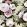 Fabiola Bloom Fabric by Arley House Pink