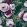 Fabiola Bloom Fabric by Arley House Plum