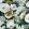 Fabiola Bloom Fabric by Arley House Stone