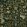 Fable Garden Wallpaper by Josephine Munsey Olive and Black